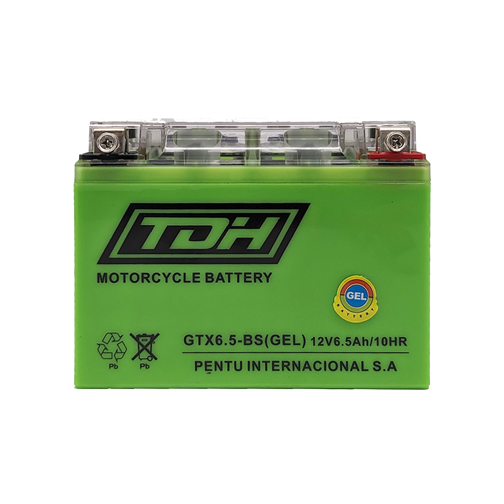 BATERIA GEL TDH GTX6.5-BS